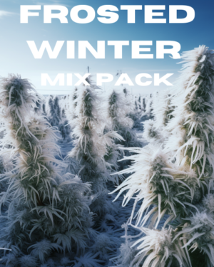 Frosted Winter Mix Pack